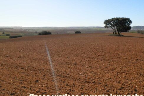 618_fincas-en-venta-28