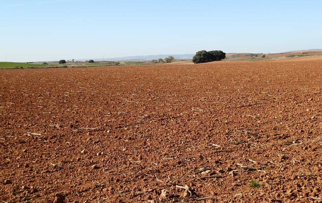 618_fincas-en-venta-35