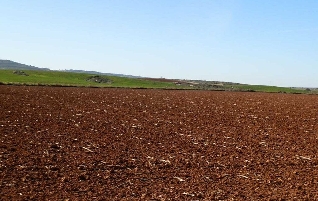618_fincas-en-venta-36