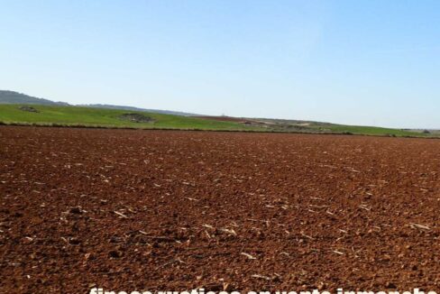 618_fincas-en-venta-36