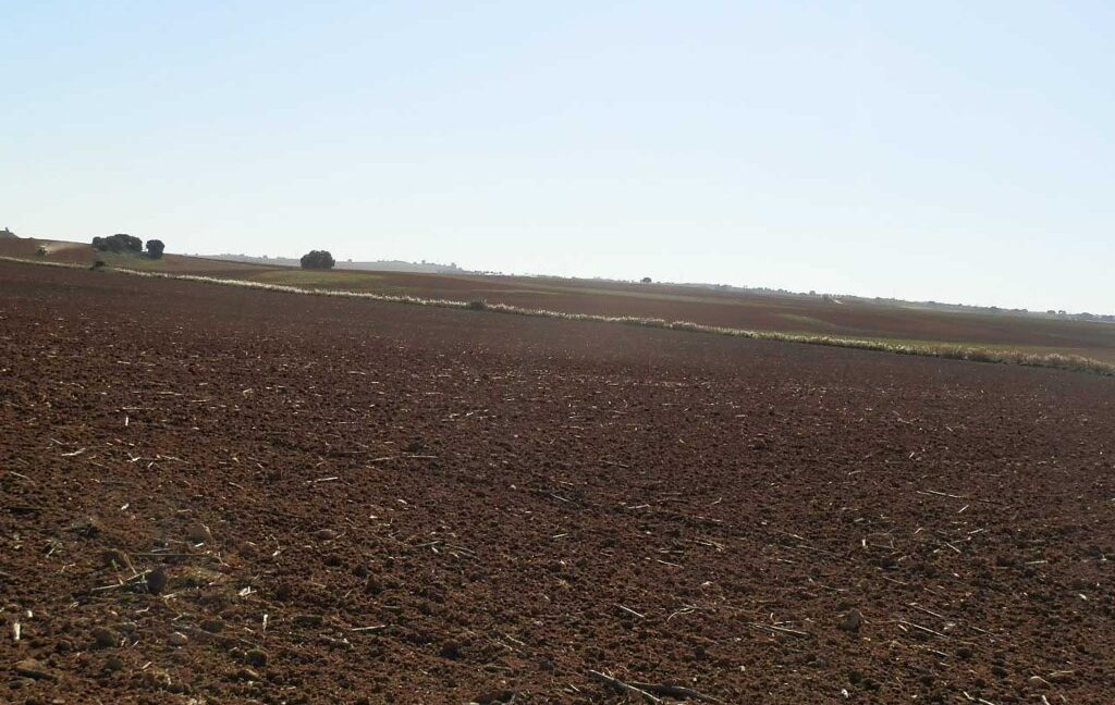 618_fincas-en-venta-37