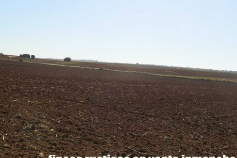 618_fincas-en-venta-37