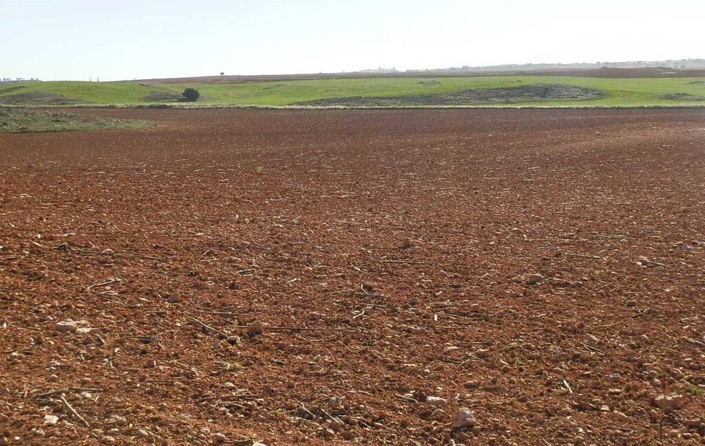 618_fincas-en-venta-38