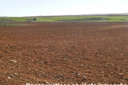 618_fincas-en-venta-38