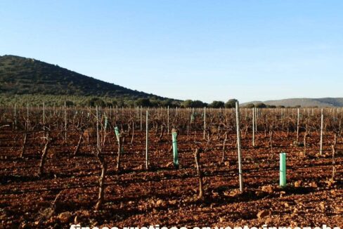 623_fincas-en-venta-14