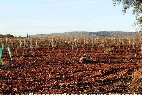 623_fincas-en-venta-16