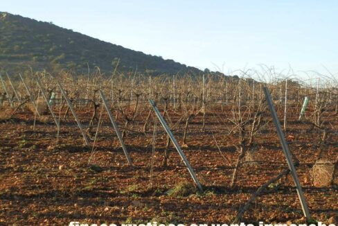 623_fincas-en-venta-17