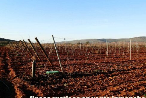 623_fincas-en-venta-20