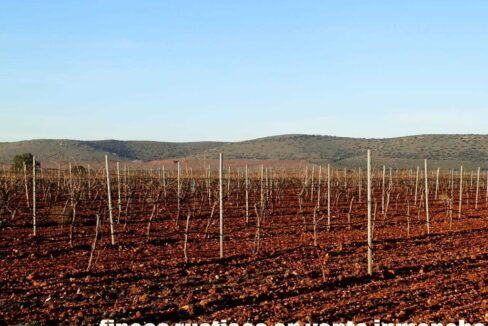 623_fincas-en-venta-21