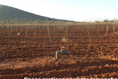 623_fincas-en-venta-22