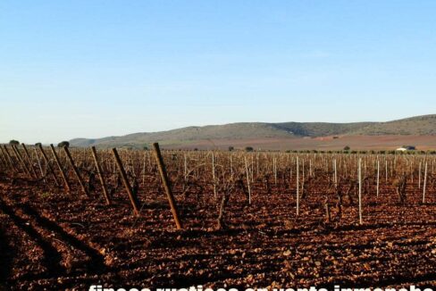 623_fincas-en-venta-23