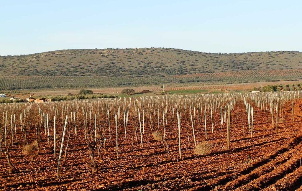 623_fincas-en-venta-24