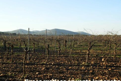 623_fincas-en-venta-26