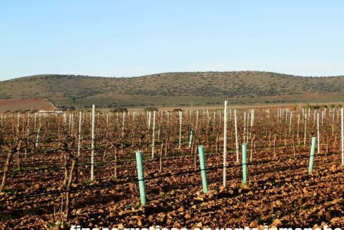 623_fincas-en-venta-27