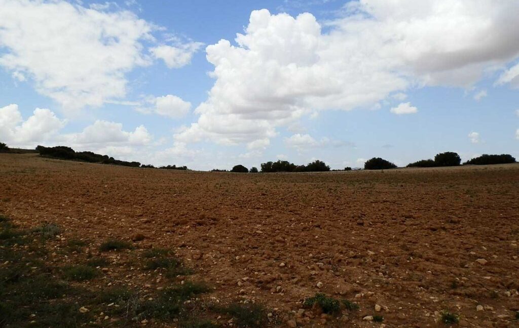 625_fincas-en-venta-001