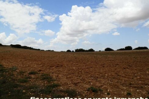 625_fincas-en-venta-001
