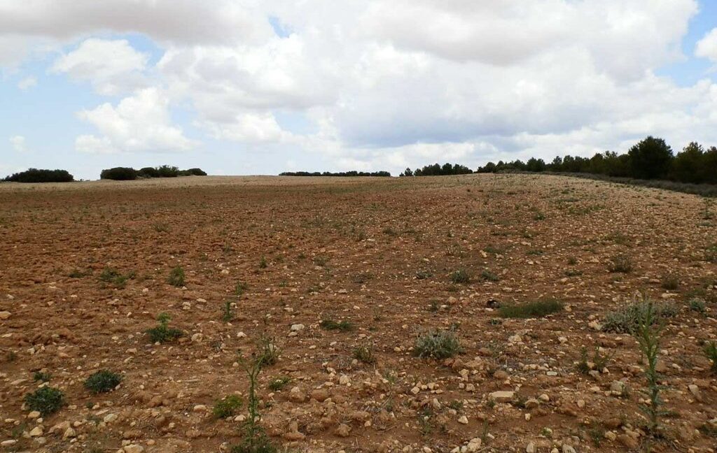 625_fincas-en-venta-002