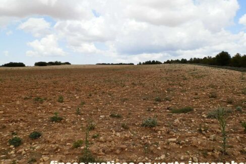 625_fincas-en-venta-002