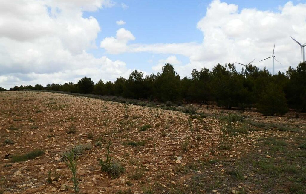 625_fincas-en-venta-003