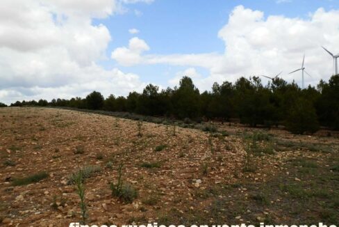 625_fincas-en-venta-003