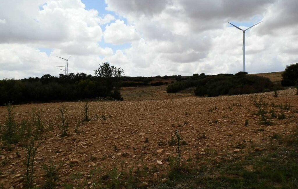 625_fincas-en-venta-004