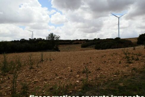 625_fincas-en-venta-004