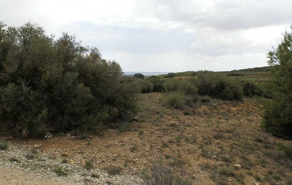 625_fincas-en-venta-005