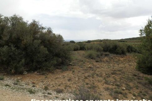625_fincas-en-venta-005