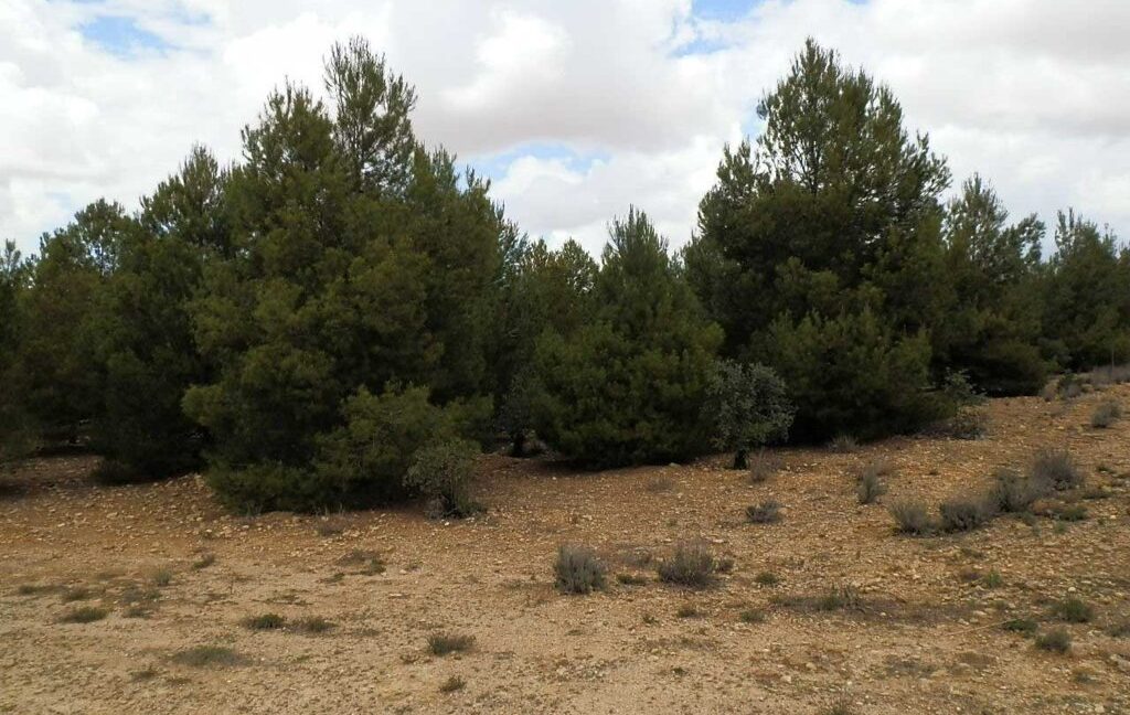 625_fincas-en-venta-006