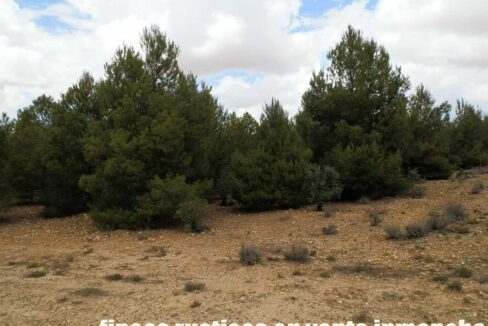 625_fincas-en-venta-006