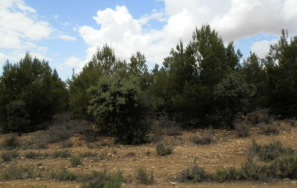 625_fincas-en-venta-007