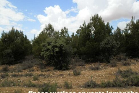 625_fincas-en-venta-007