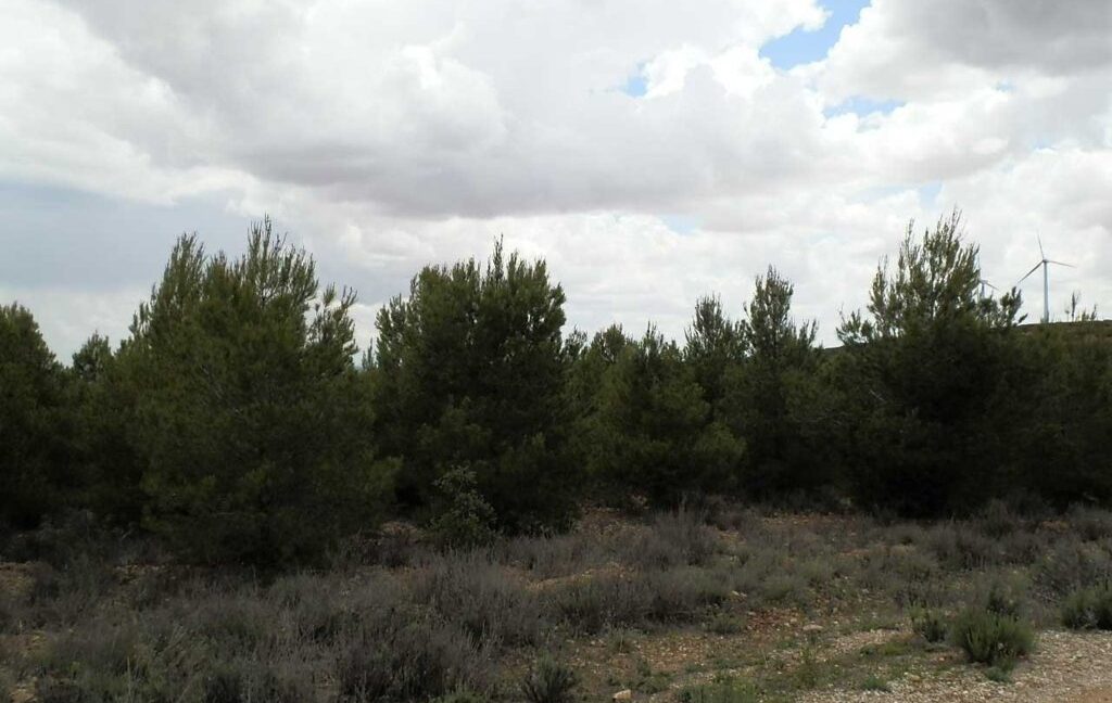 625_fincas-en-venta-008