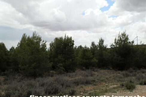 625_fincas-en-venta-008