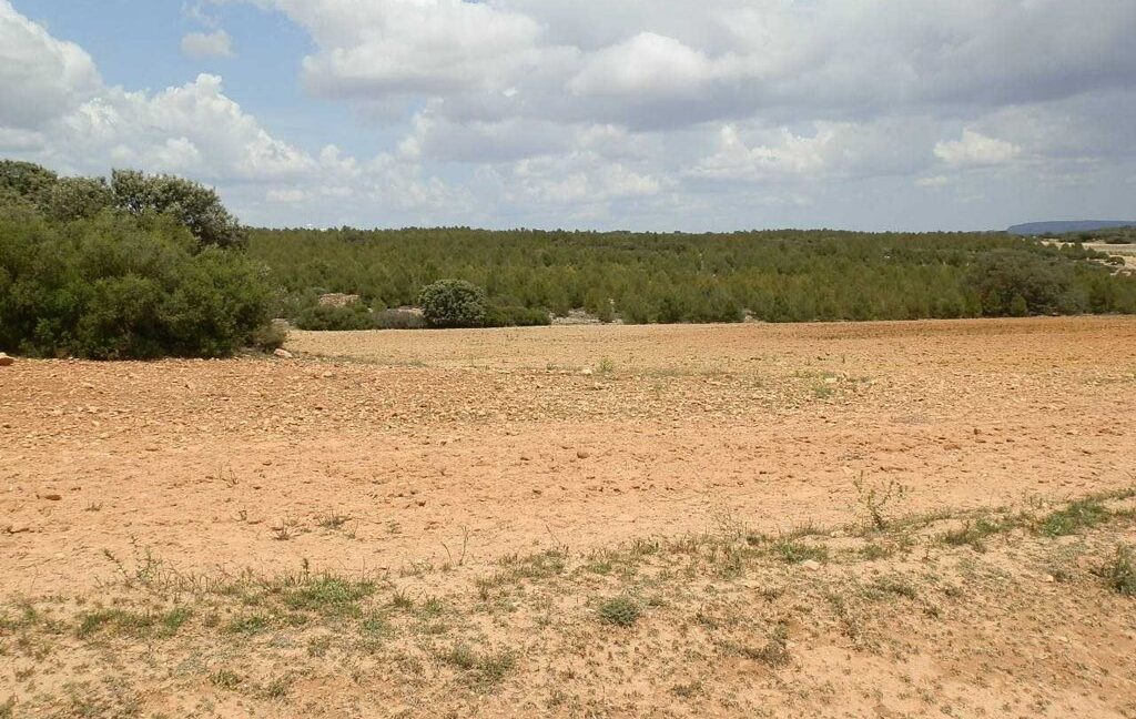 625_fincas-en-venta-019