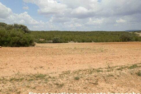 625_fincas-en-venta-019
