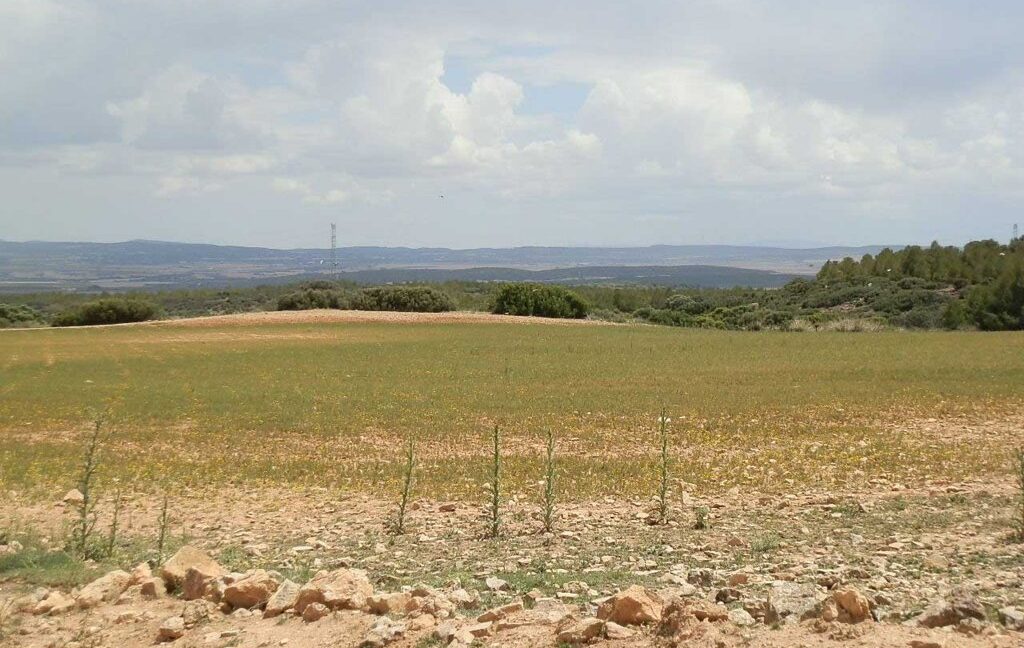 625_fincas-en-venta-021
