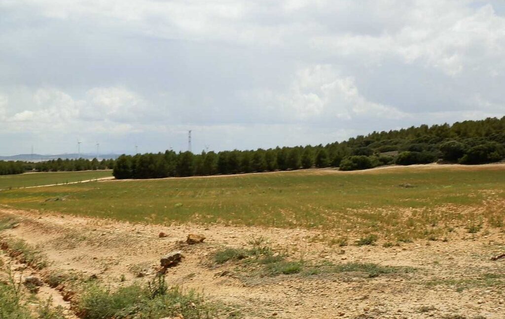 625_fincas-en-venta-023