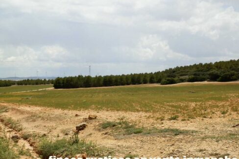 625_fincas-en-venta-023