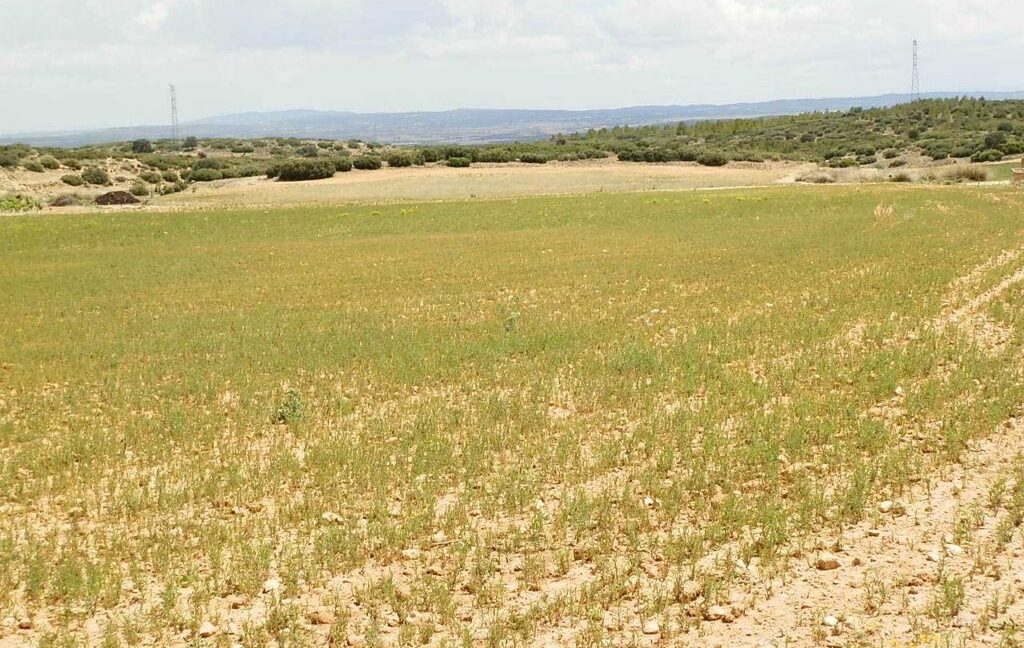 625_fincas-en-venta-024