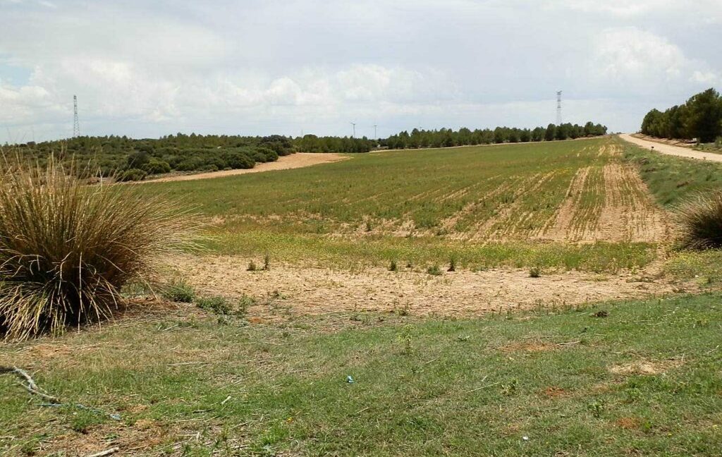 625_fincas-en-venta-026