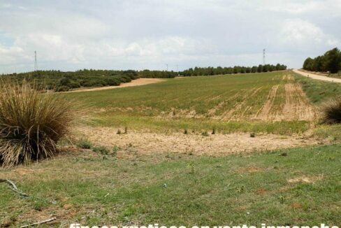 625_fincas-en-venta-026