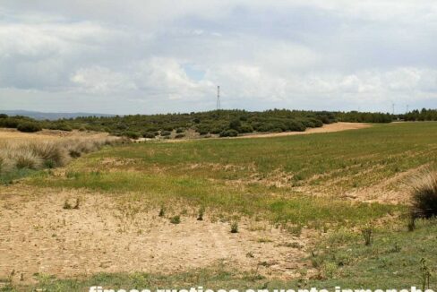 625_fincas-en-venta-027