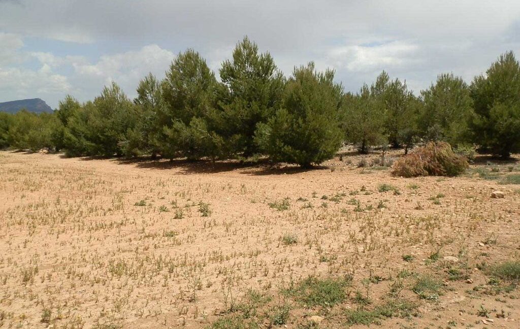 625_fincas-en-venta-028