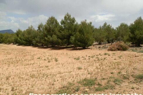 625_fincas-en-venta-028