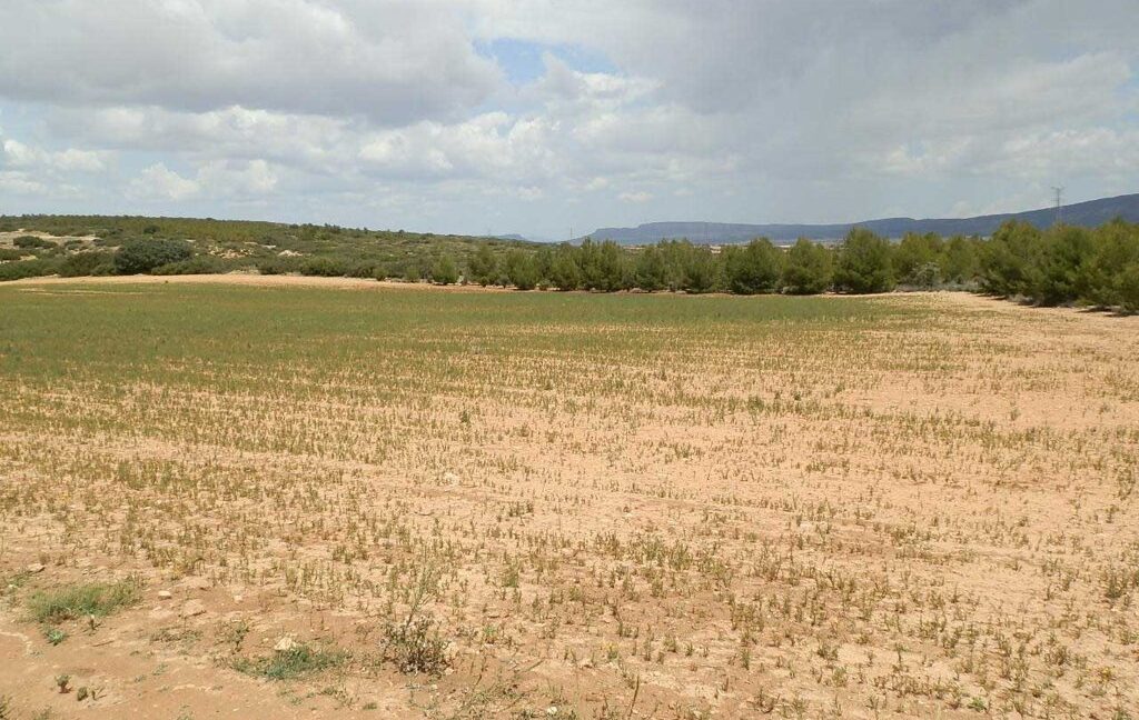 625_fincas-en-venta-029