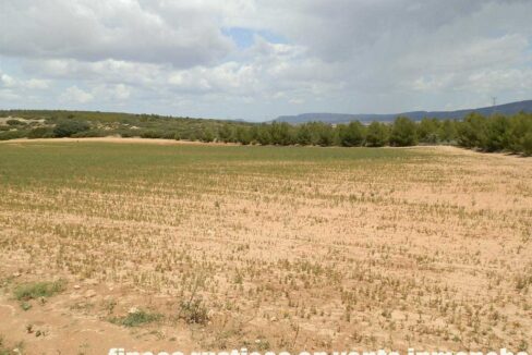 625_fincas-en-venta-029