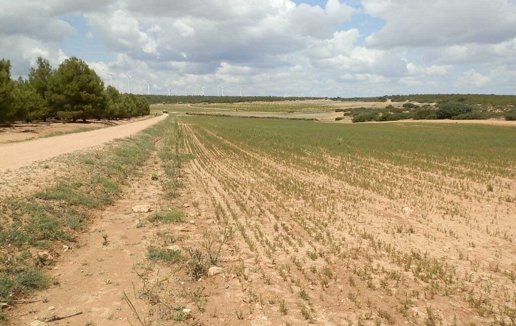 625_fincas-en-venta-030