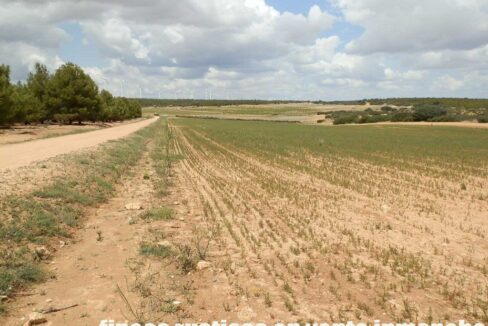 625_fincas-en-venta-030