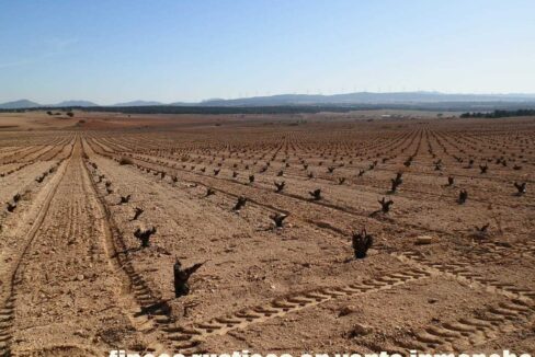 626_fincas-en-venta-036